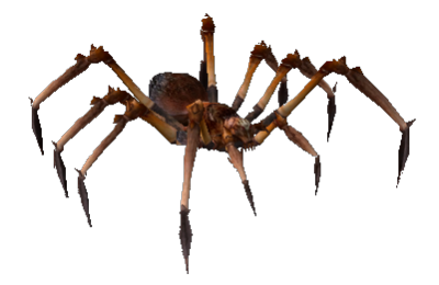 Soubor:Brutální smrtelný jededovatý pavouk.png
