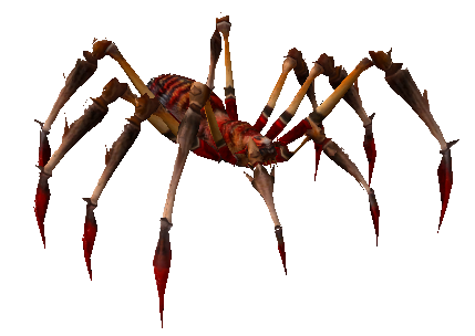 Soubor:Červený smrtící pavouk.png